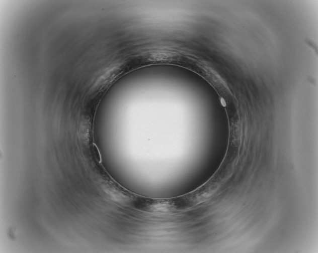 X0000096200505200801251015