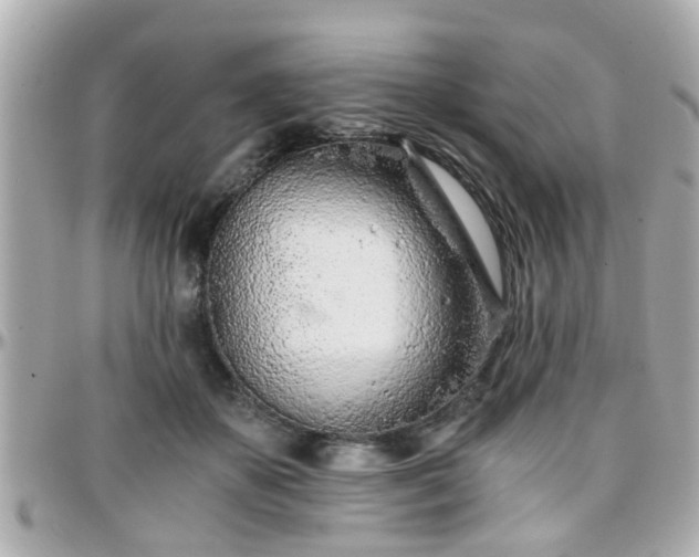 X0000096200507200801251015