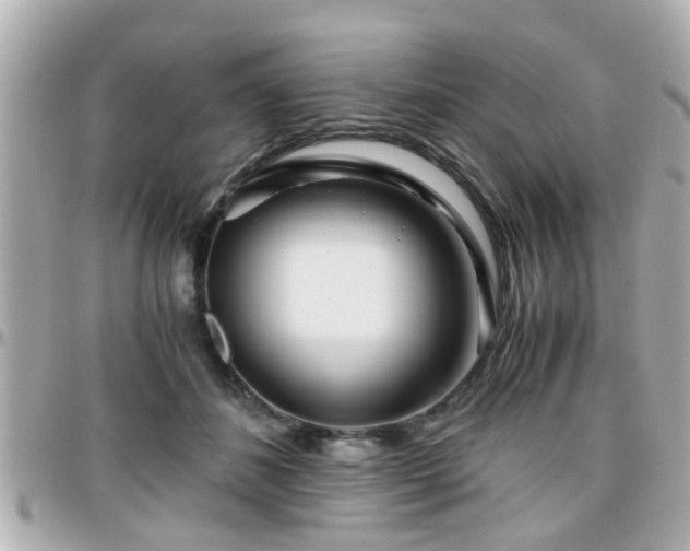 X0000096200508200801251015