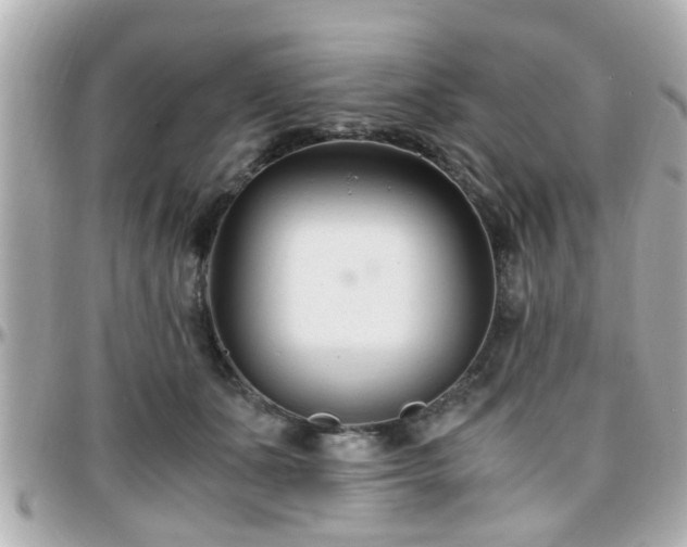 X0000096200511200801251015