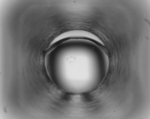X0000096200513200801251015