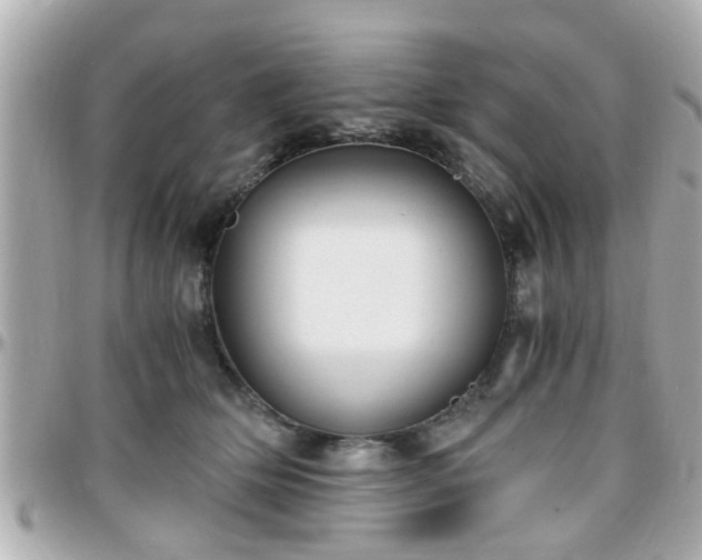 X0000096200514200801251015
