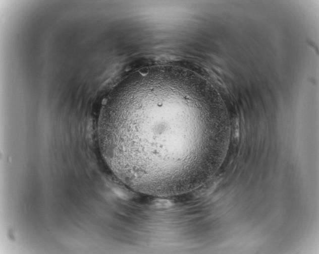 X0000096200519200801251015