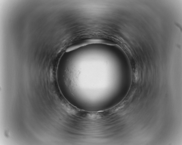 X0000096200520200801251015