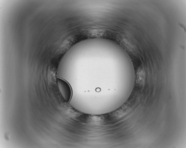 X0000096200522200801251015