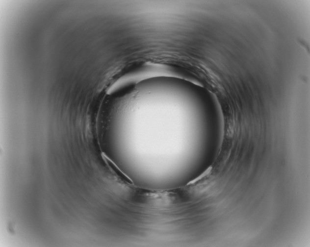 X0000096200524200801251015