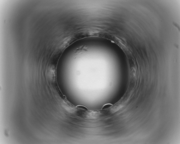 X0000096200527200801251015
