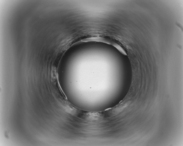 X0000096200528200801251015