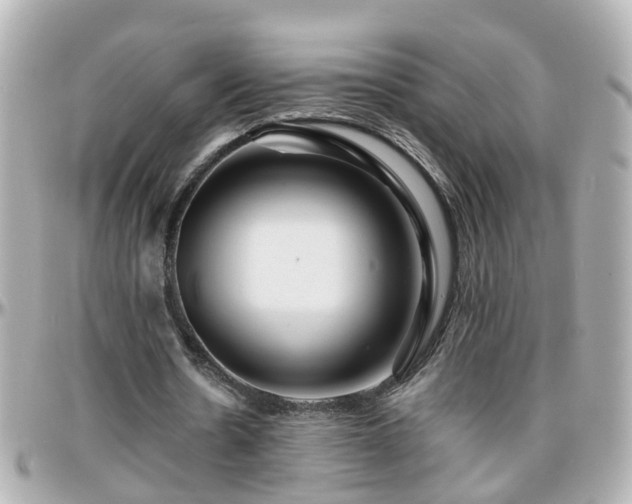 X0000096200530200801251014