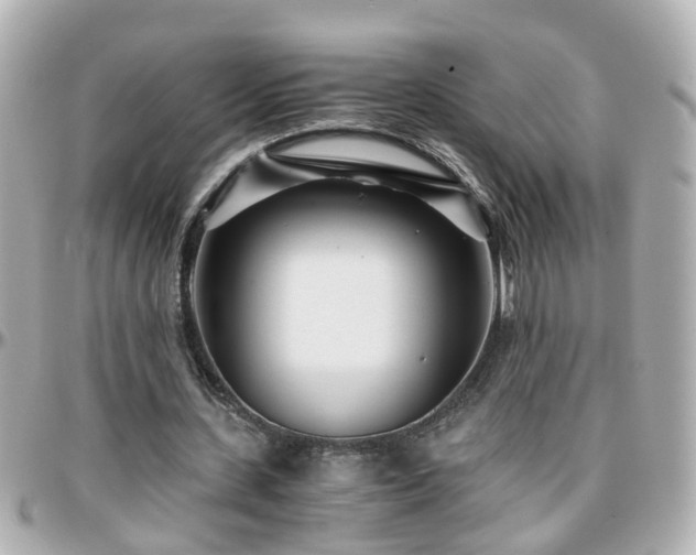 X0000096200531200801251014