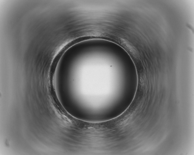 X0000096200532200801251014