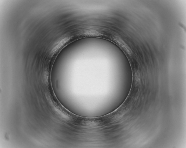 X0000096200533200801251014