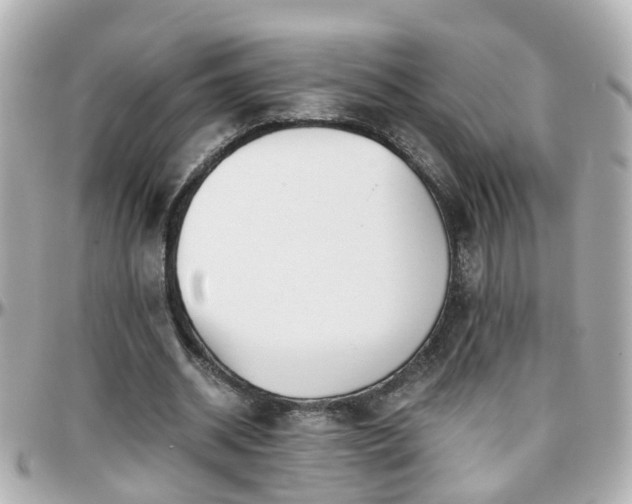 X0000096200534200801251015