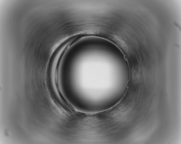 X0000096200536200801251015