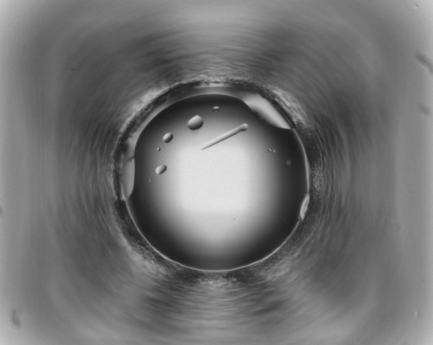 X0000096200540200801251015