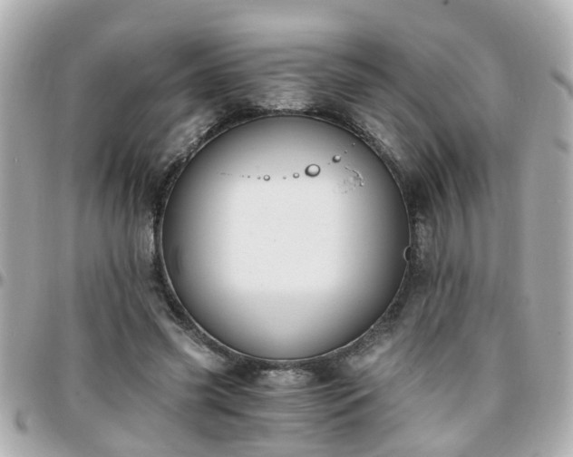 X0000096200541200801251015