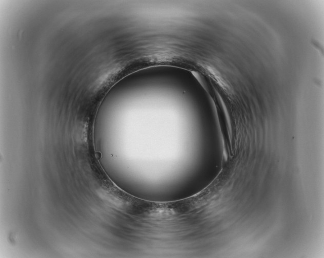 X0000096200543200801251015