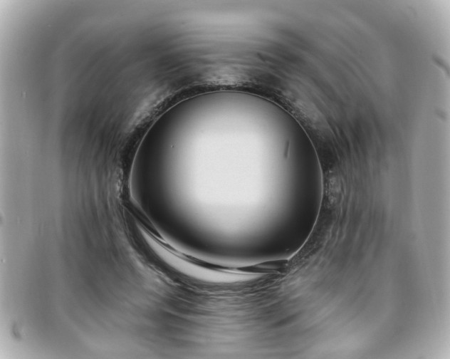 X0000096200544200801251015