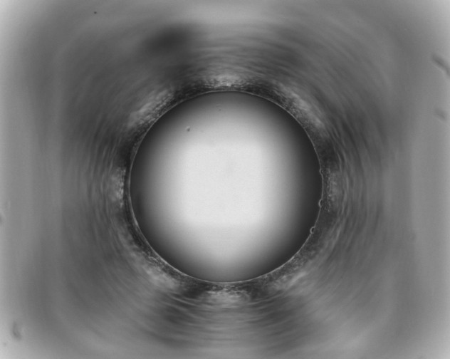 X0000096200545200801251015