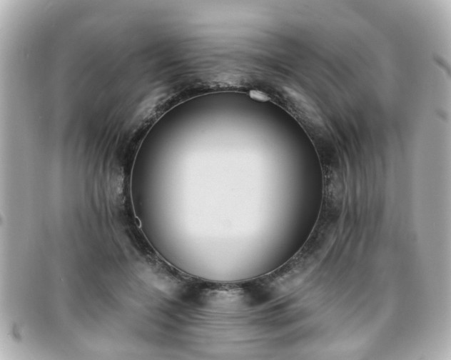 X0000096200548200801251015