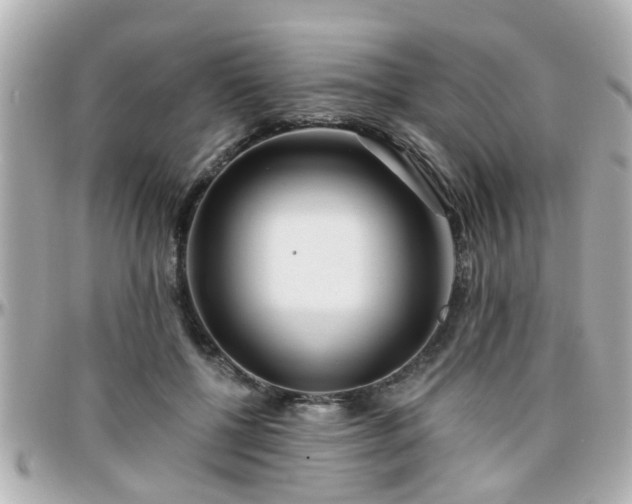 X0000096200552200801251015