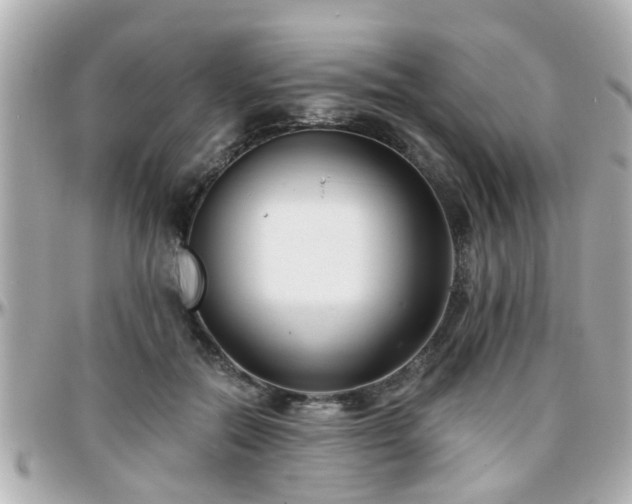X0000096200554200801251015