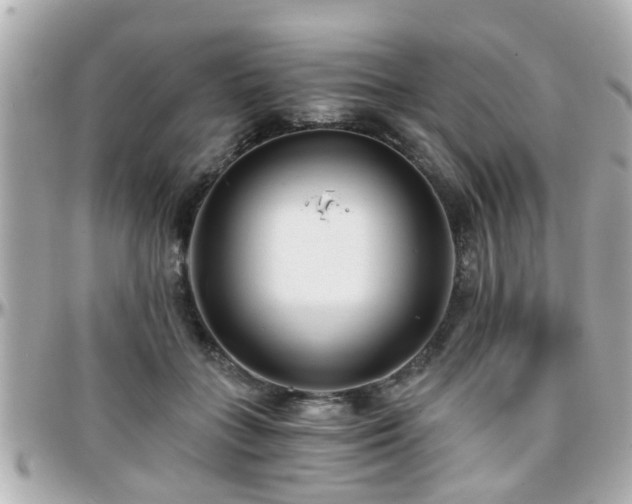 X0000096200555200801251015