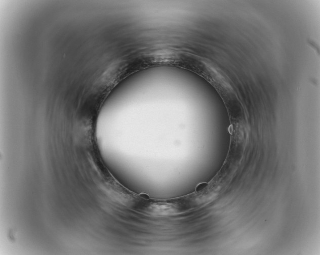 X0000096200557200801251015