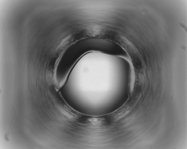 X0000096200558200801251015