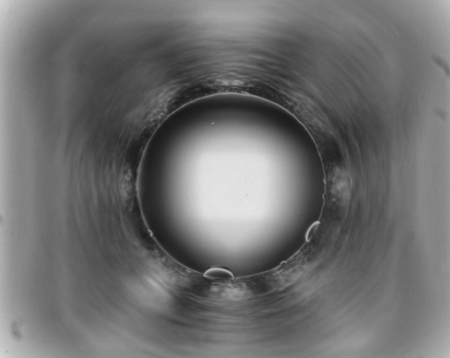 X0000096200559200801251015