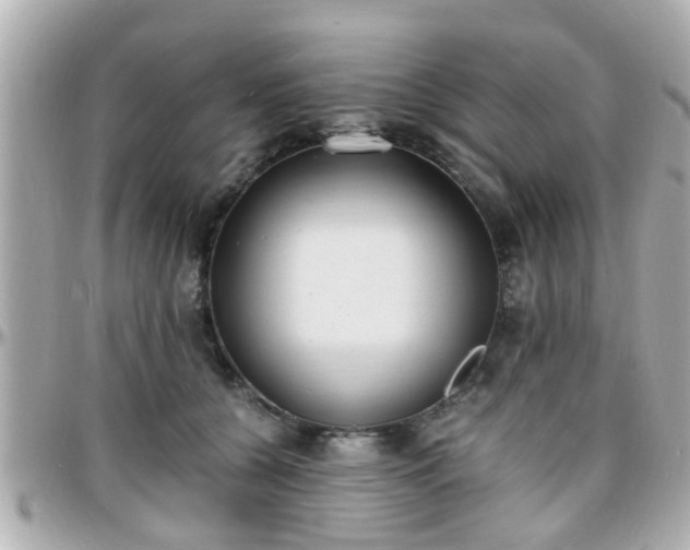 X0000096200560200801251015