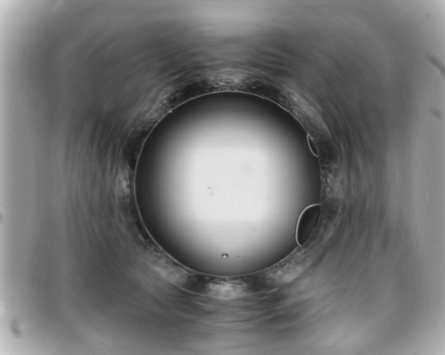 X0000096200561200801251015