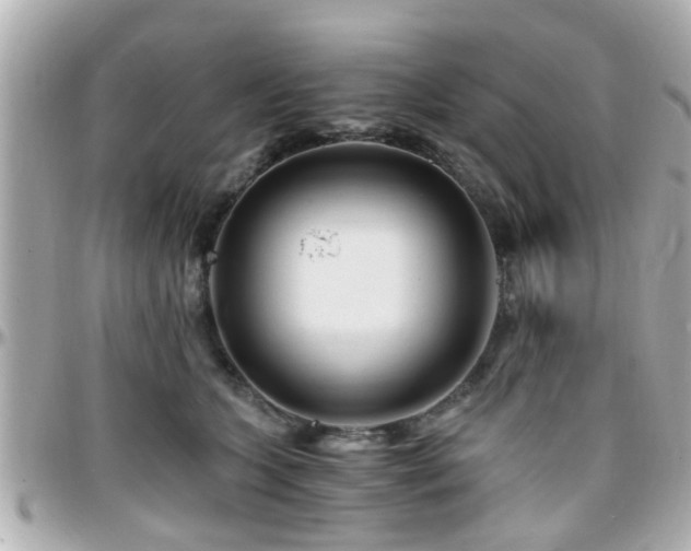 X0000096200563200801251015