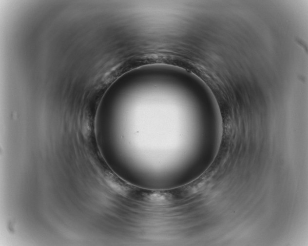 X0000096200566200801251015