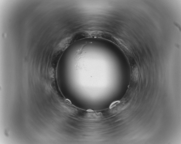 X0000096200571200801251015