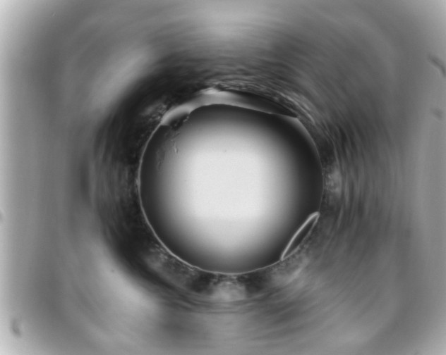 X0000096200572200801251015