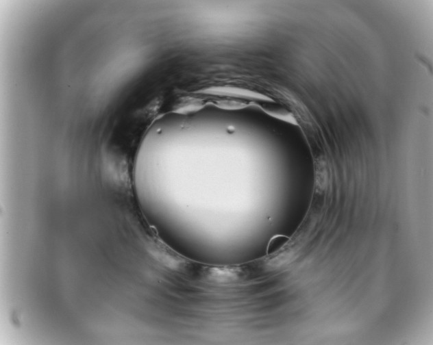 X0000096200573200801251015