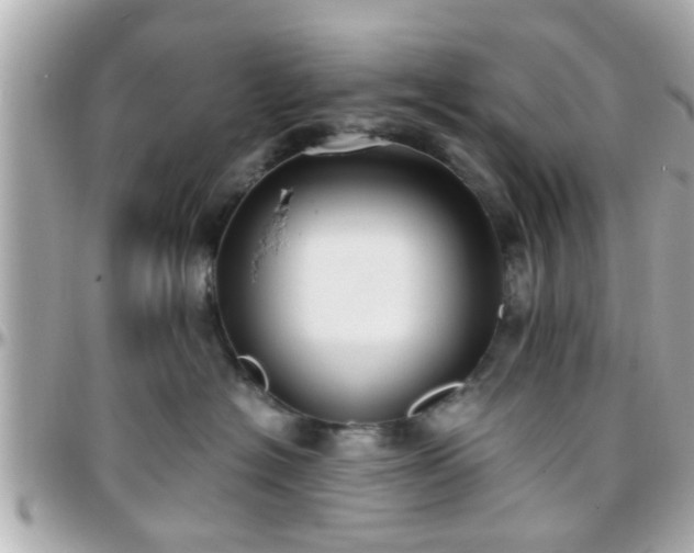 X0000096200574200801251015