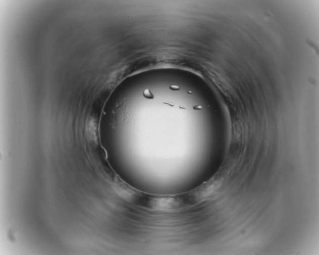 X0000096200575200801251015