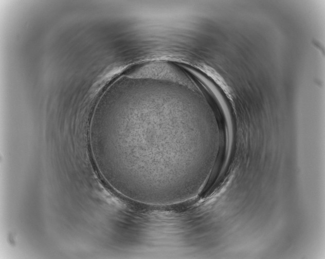 X0000096200577200801251014