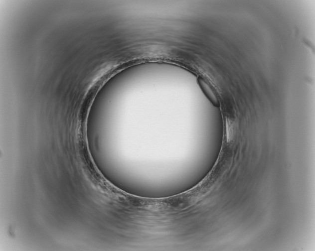 X0000096200579200801251014