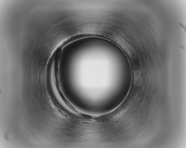 X0000096200580200801251014