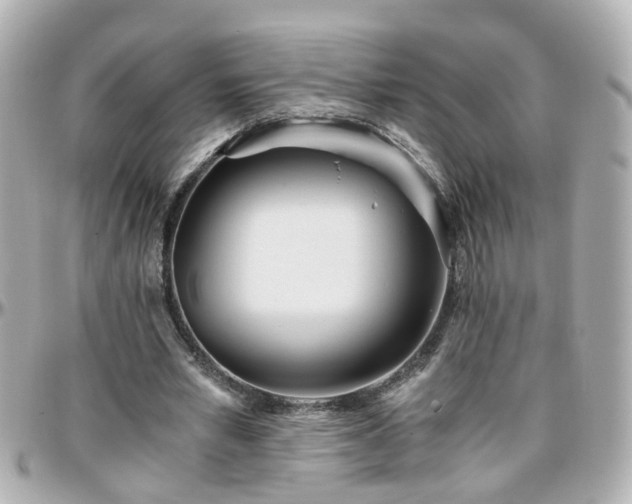 X0000096200581200801251014