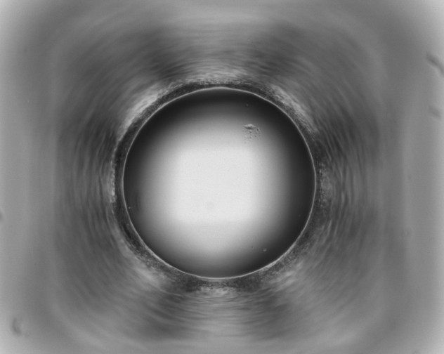 X0000096200582200801251014