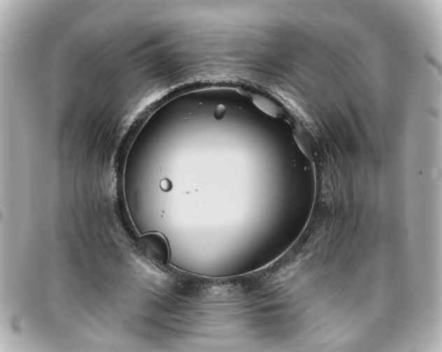 X0000096200584200801251014