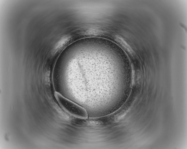 X0000096200585200801251014