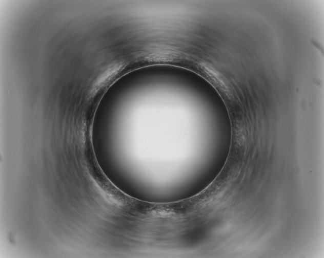 X0000096200586200801251014