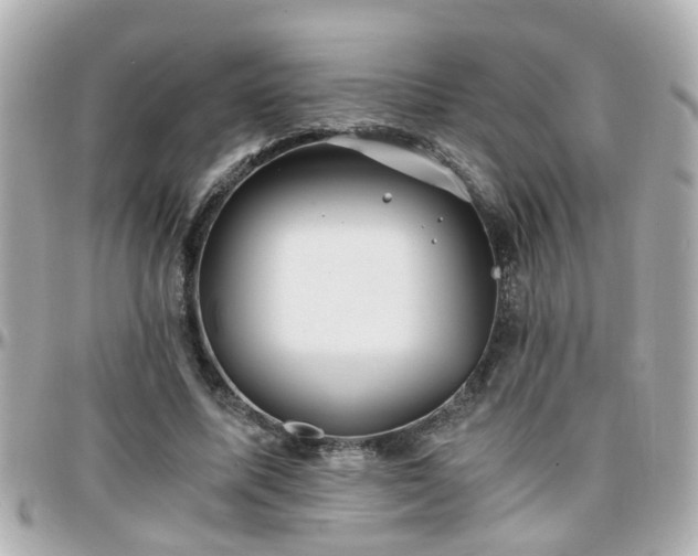 X0000096200587200801251014