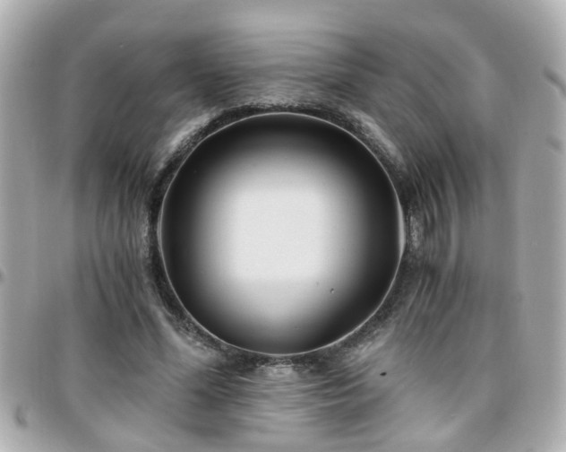 X0000096200588200801251014