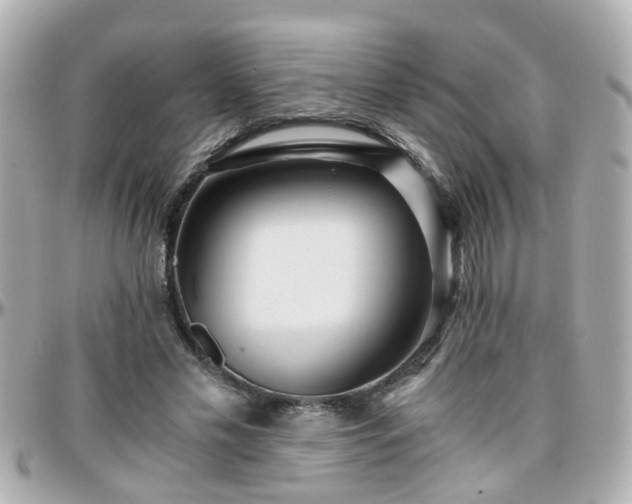 X0000096200589200801251014